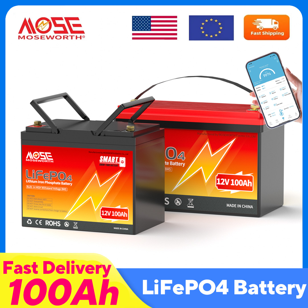 12V 100Ah Lifepo4 Bluetooth Bms - MOSEWORTH LiFePO4 12V 100Ah Battery Pack