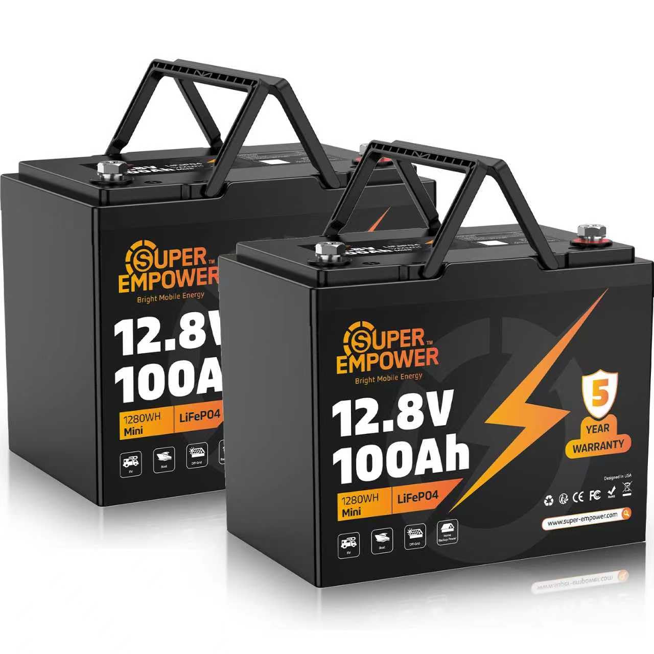 Lifepo4 Battery 12V 100Ah - 12V 100Ah LiFePO4 Lithium Battery- BCI