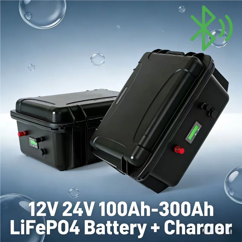 12V/24V LiFePO4 Battery Pack ( - 12V 100Ah Lifepo4 Bluetooth Bms ulasan dan harga