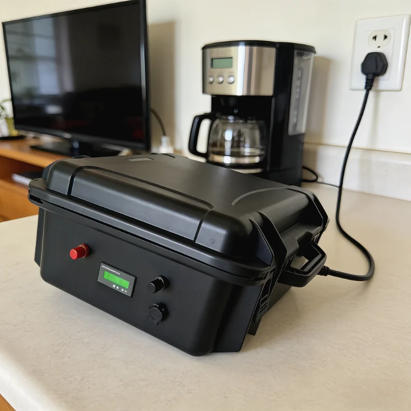 12V/24V LiFePO4 Battery Pack ( - 12V 100Ah Lifepo4 Bluetooth Bms ulasan dan harga