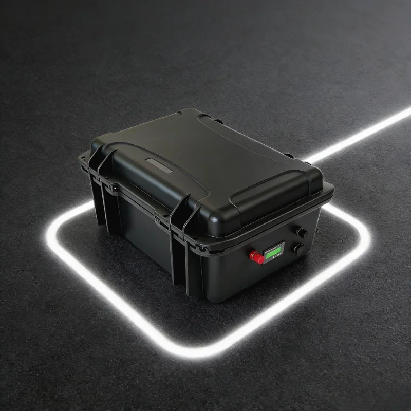 12V/24V LiFePO4 Battery Pack ( - 12V 100Ah Lifepo4 Bluetooth Bms ulasan dan harga
