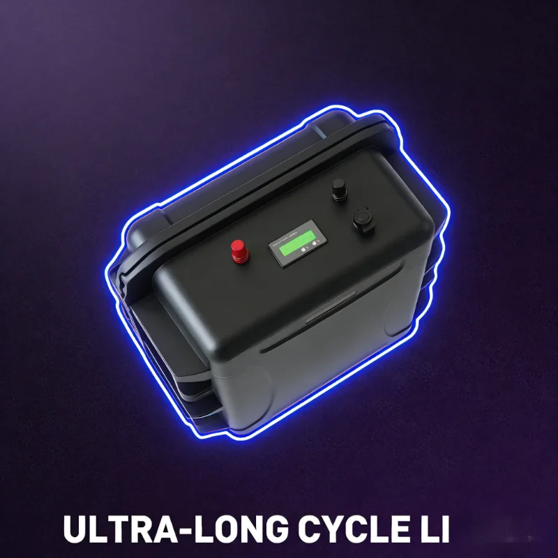 12V/24V LiFePO4 Battery Pack ( - 12V 100Ah Lifepo4 Bluetooth Bms ulasan dan harga