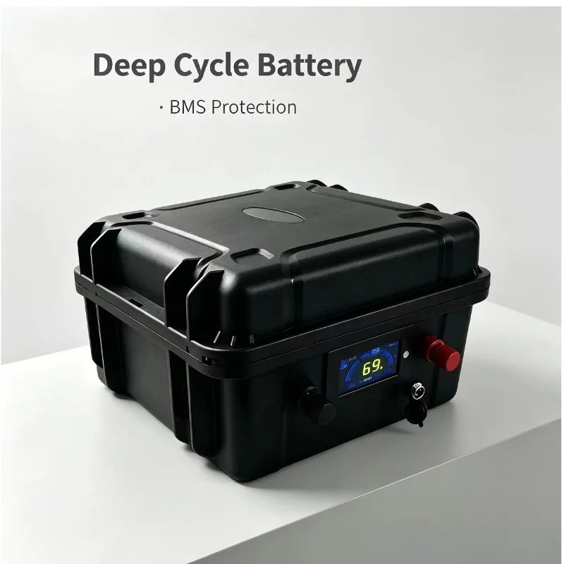 48V Rechargeable LiFePO4 Batte - Lifepo4 48V 50Ah Golf Cart ulasan dan harga