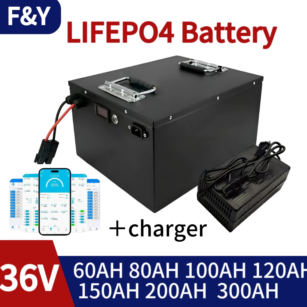 LifePo4 Lithium Battery 36V fo - Lifepo4 Battery 36V 100Ah ulasan dan harga