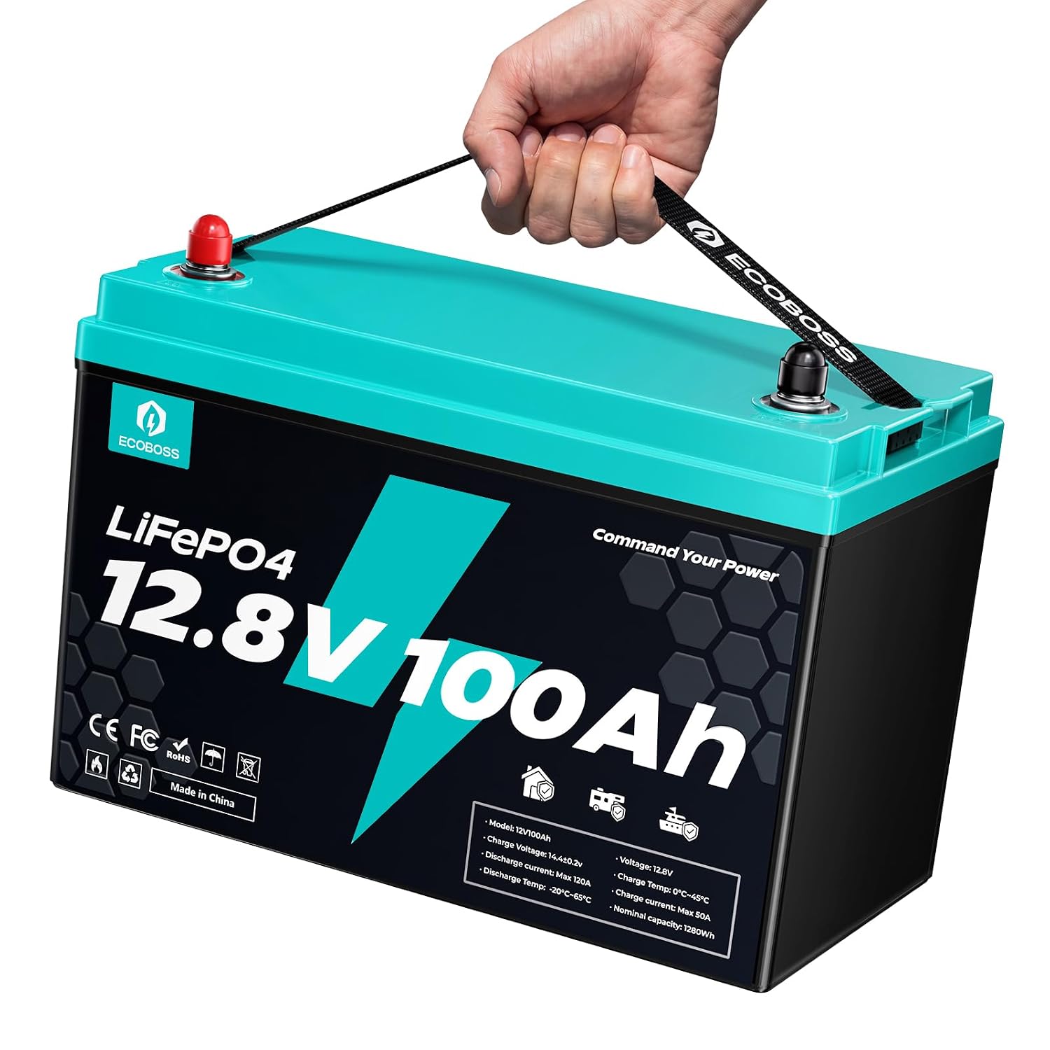 12V 100Ah LiFePO4 Battery, 128 - Lifepo4 Battery 12V 100Ah ulasan dan harga