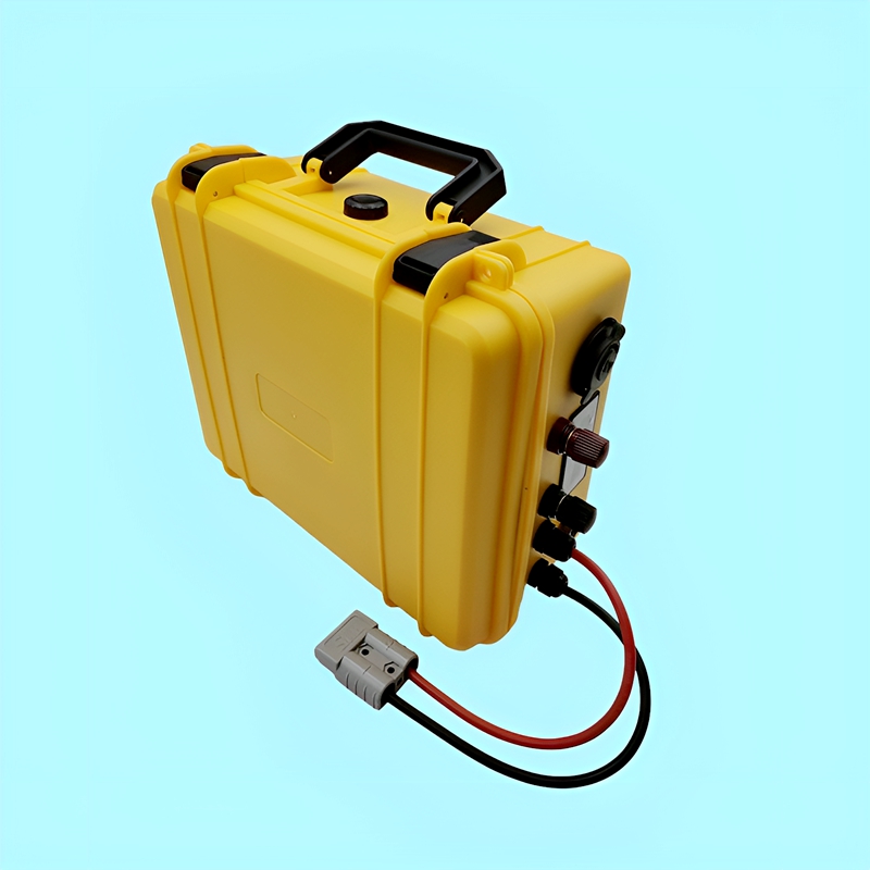 DS Waterproof Lithium Battery  - Lifepo4 Battery 24V 200Ah ulasan dan harga