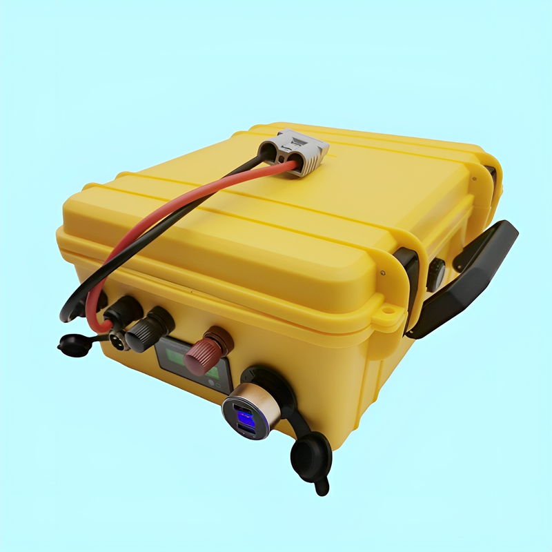 DS Waterproof Lithium Battery  - Lifepo4 Battery 24V 200Ah ulasan dan harga