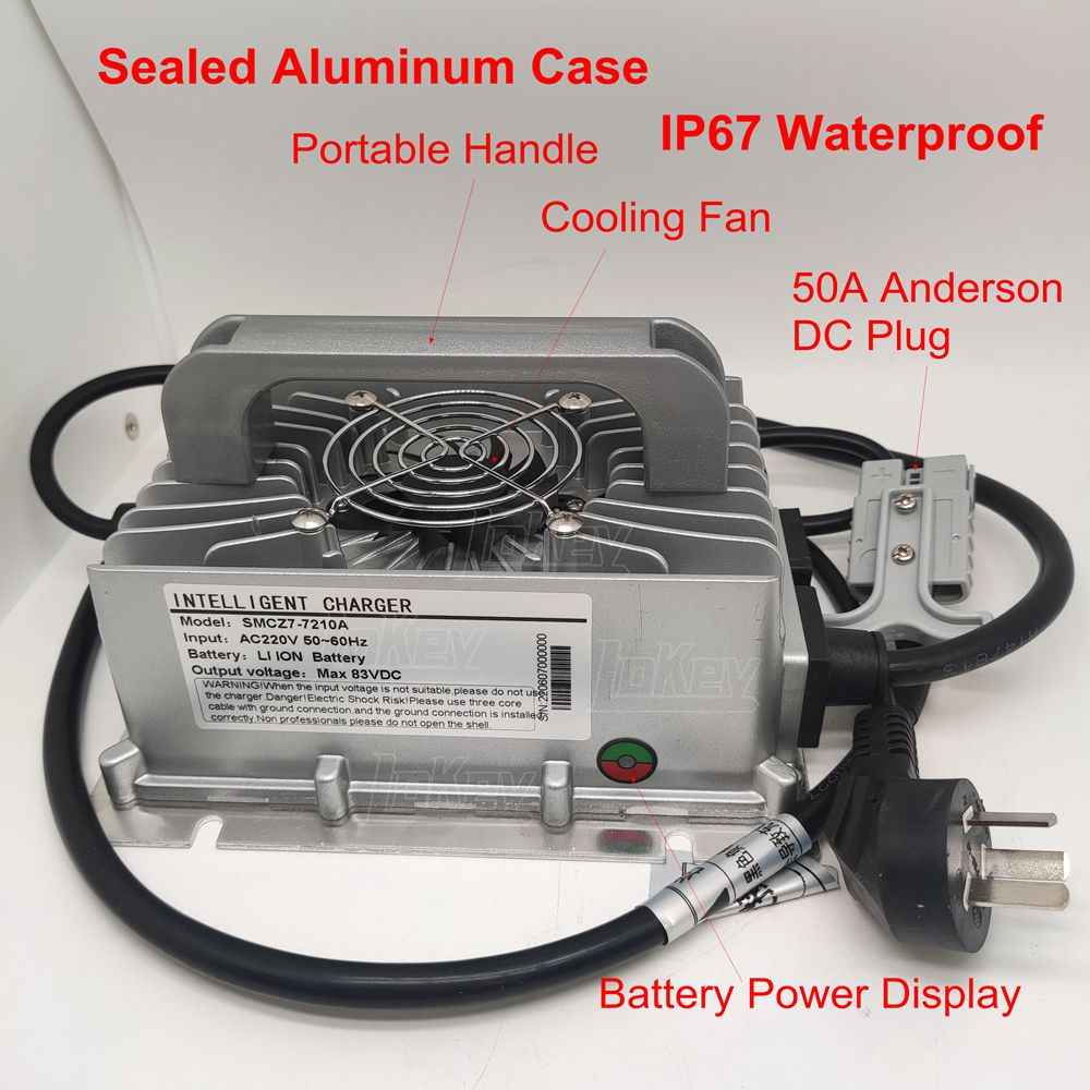 1500W 12V 24V 36V 48V 60V 72V  - Lifepo4 Charger 48V 20A ulasan dan harga