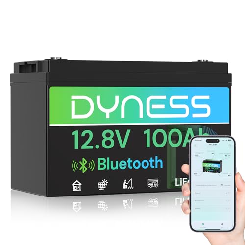12V 100Ah Bluetooth LiFePO4 Ba - 12V 100Ah Lifepo4 Bluetooth Bms ulasan dan harga