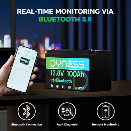 12V 100Ah Bluetooth LiFePO4 Ba - 12V 100Ah Lifepo4 Bluetooth Bms ulasan dan harga