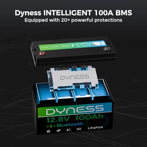 12V 100Ah Bluetooth LiFePO4 Ba - 12V 100Ah Lifepo4 Bluetooth Bms ulasan dan harga