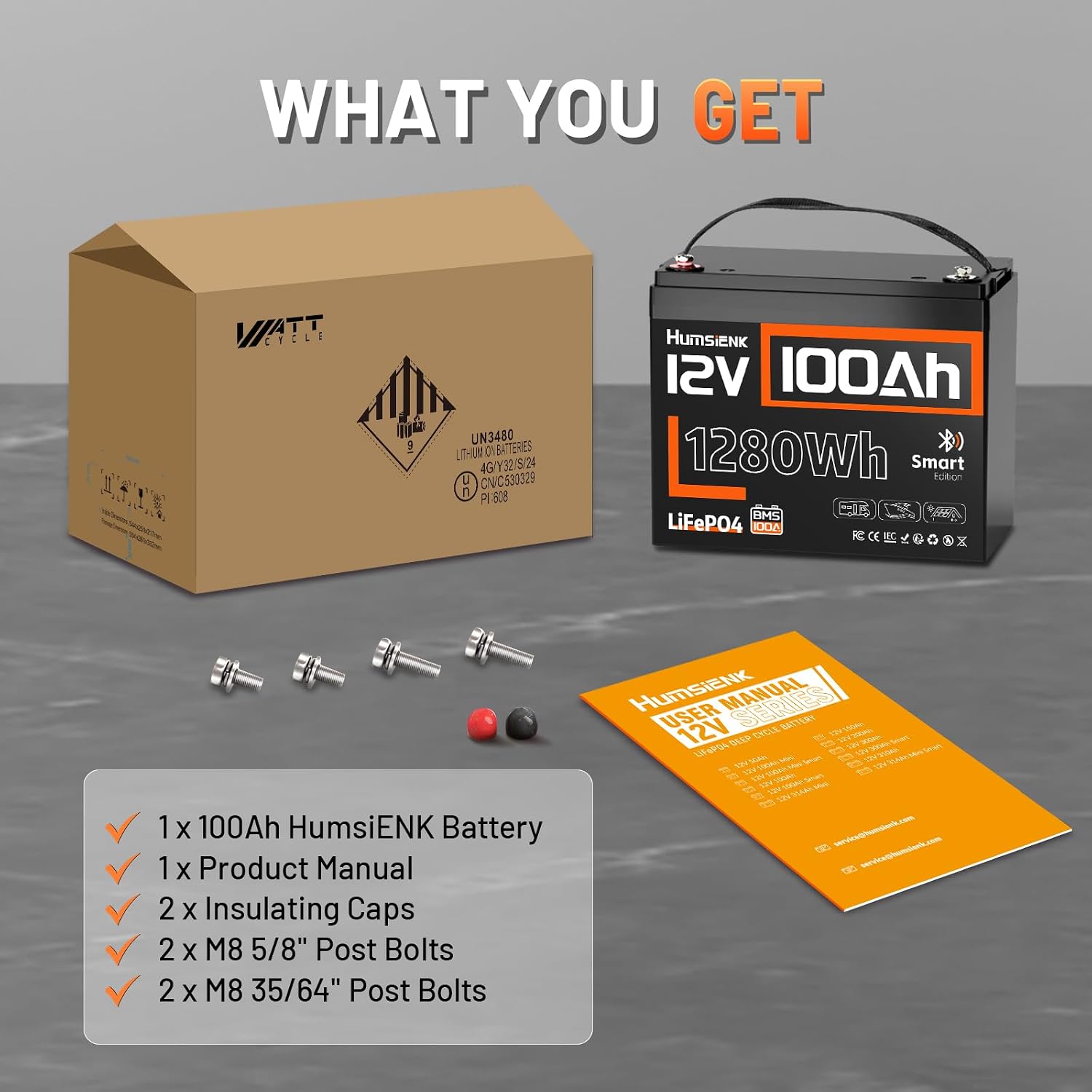 12V 100Ah LiFePO4 Lithium Batt - 12V 100Ah Lifepo4 Bluetooth Bms ulasan dan harga