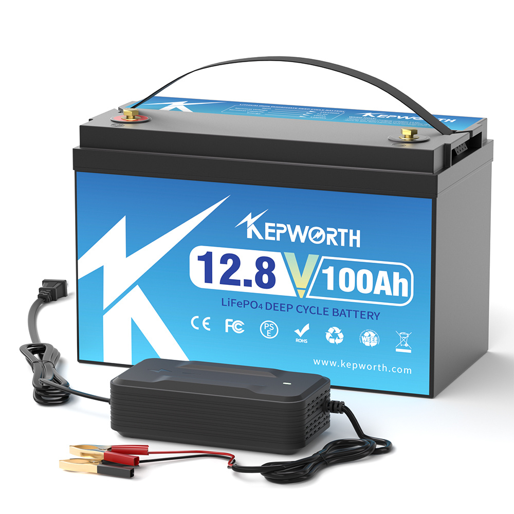 12V 24V 100AH 120AH 300AH LiFe - Lifepo4 Battery 36V 100Ah ulasan dan harga